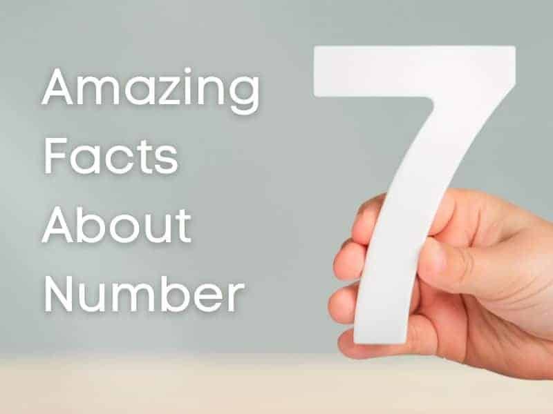 Amazing Facts About Number 7