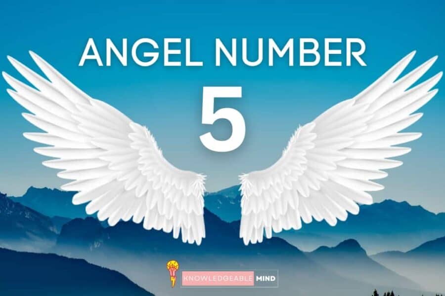 Angel number 5