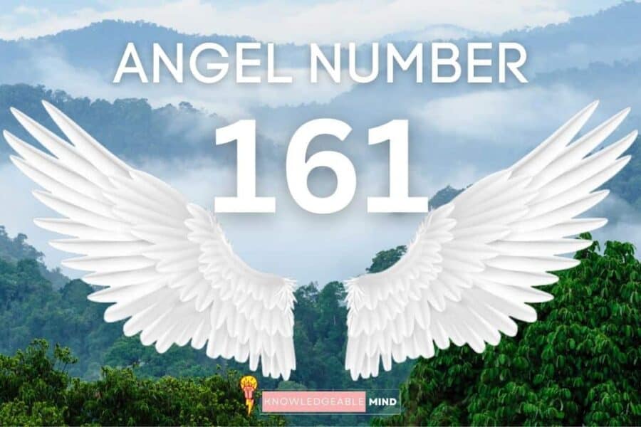 Angel Number 161