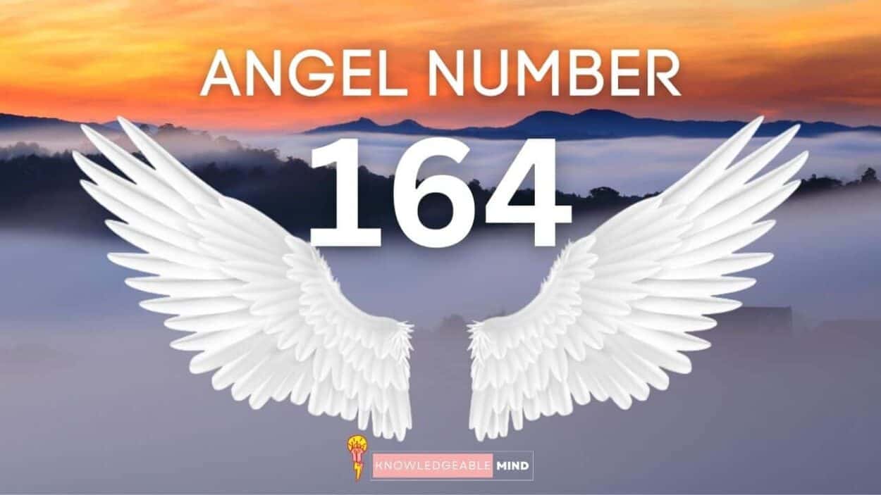 Angel Number 164