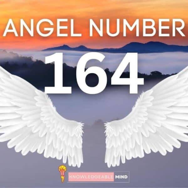 Angel Number 164
