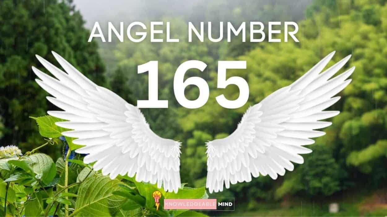 Angel Number 165