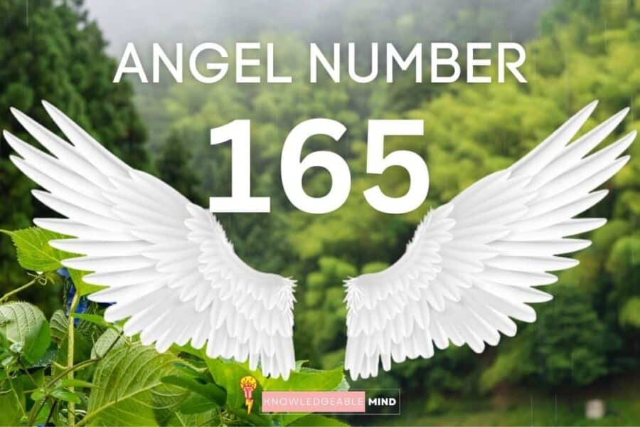 Angel Number 165