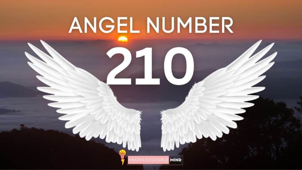 Angel Number 210