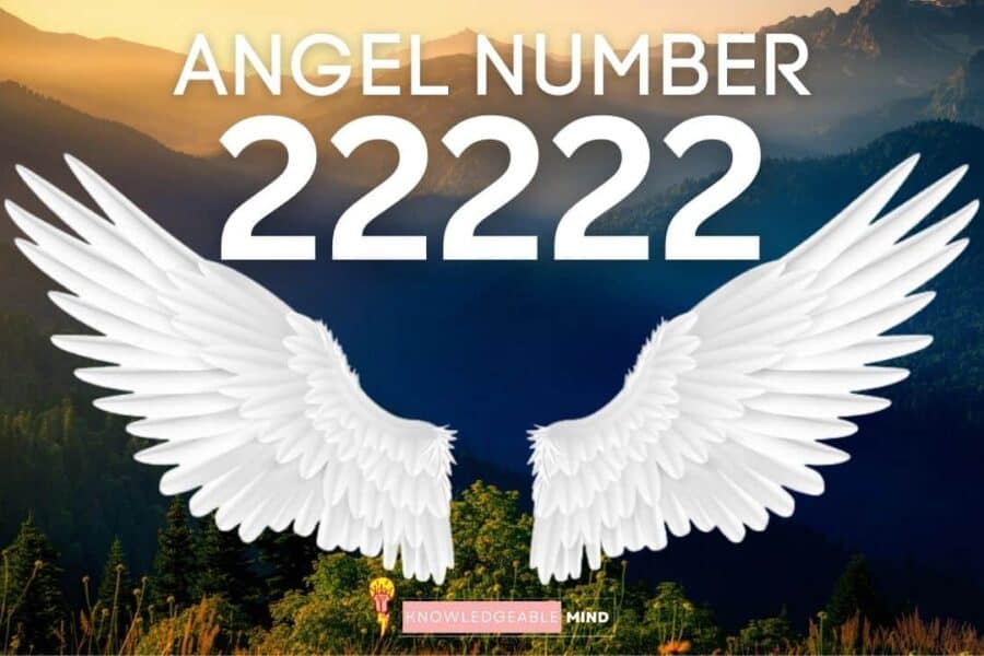 Angel Number 22222