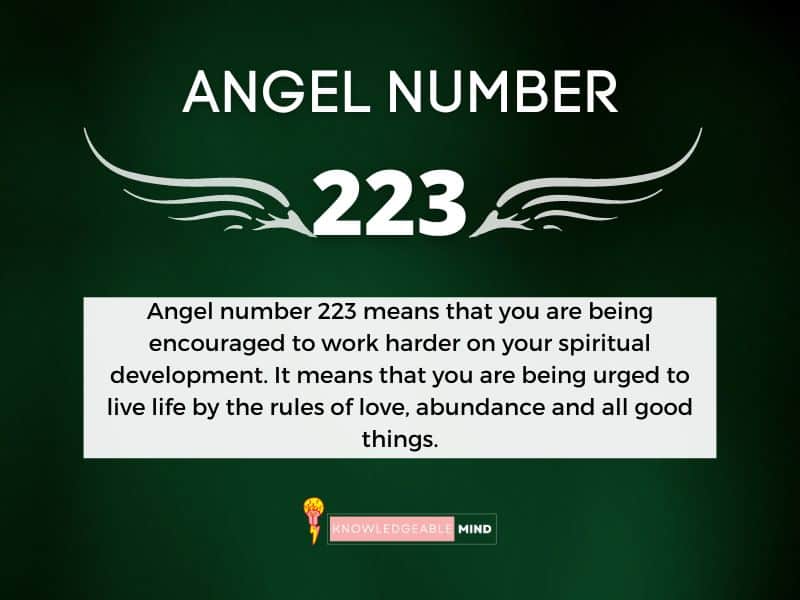 Angel Number 223 meaning