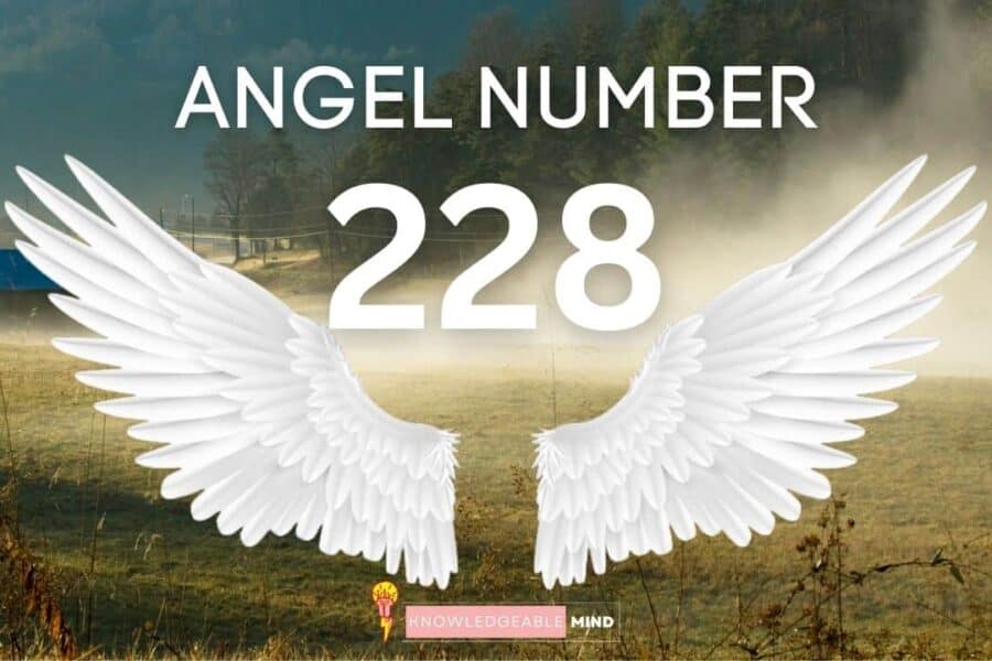 Angel Number 228