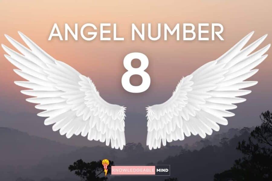 Angel Number 8
