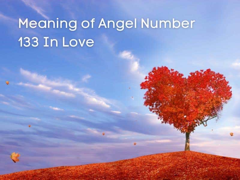 Love and angel number 133
