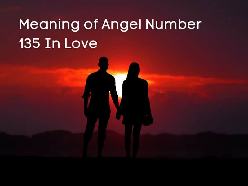Love and angel number 135