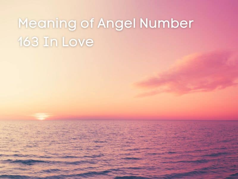 Love and angel number 163