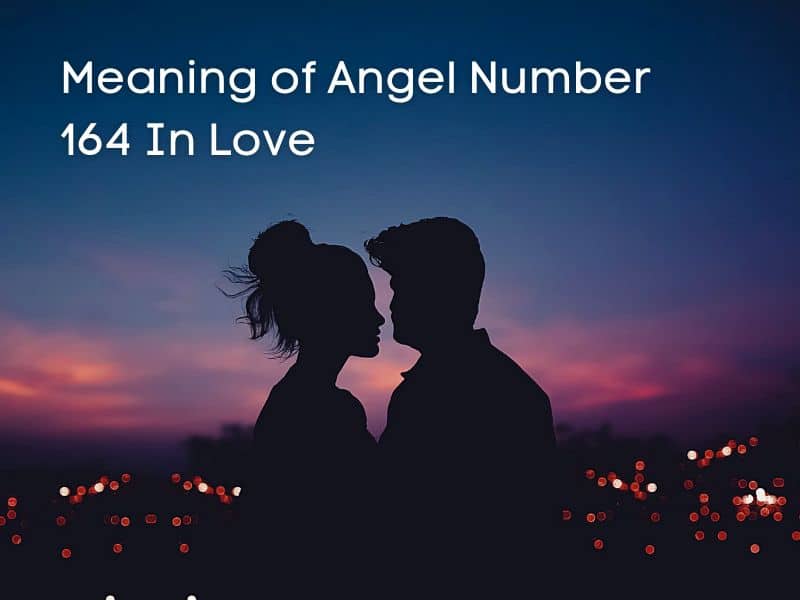 Love and angel number 164