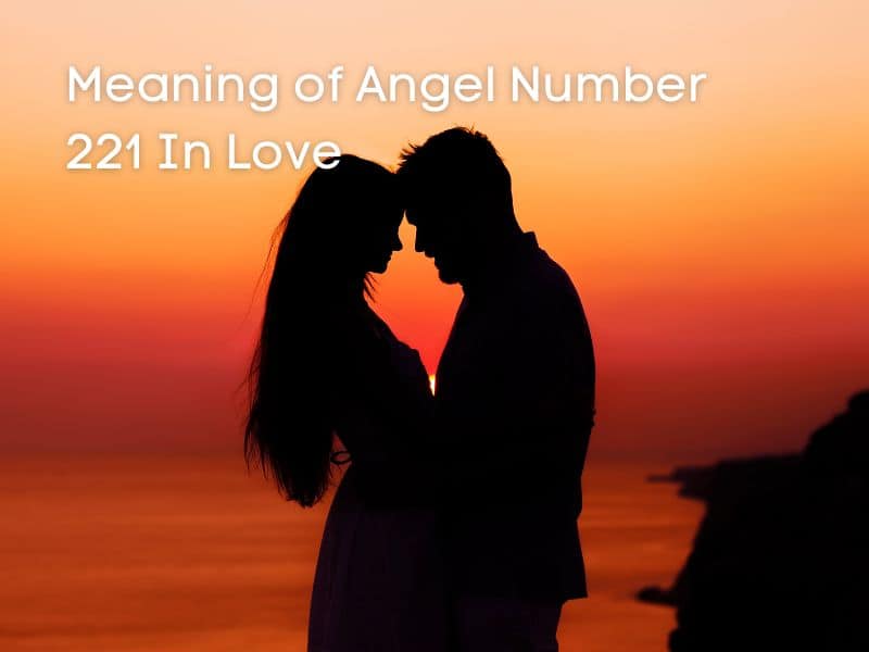 Love and angel number 221