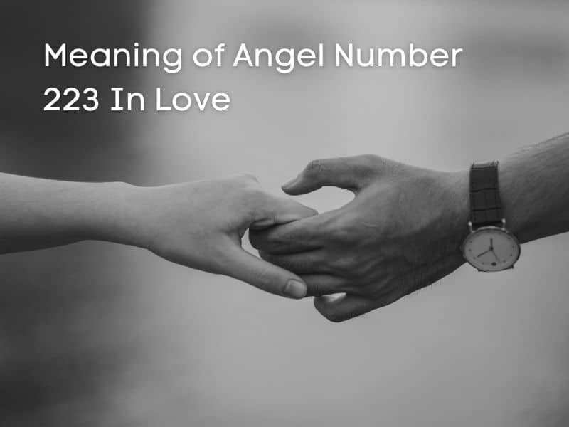 Love and angel number 223
