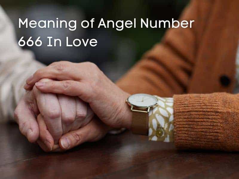 Love and angel number 666