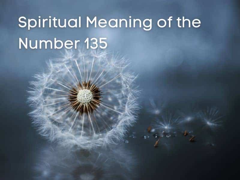 Spiritual Meaning of number 135