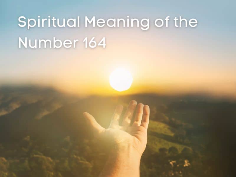 Spiritual Meaning of number 164