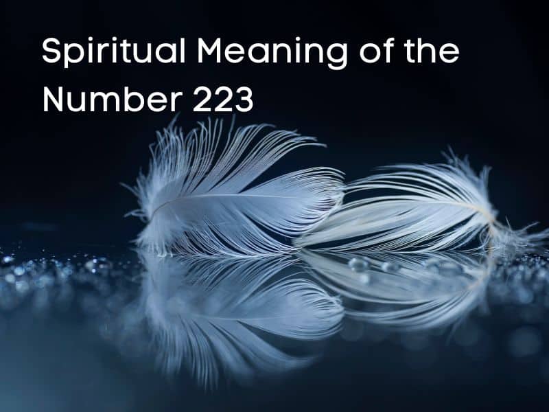 Spiritual Meaning of number 223